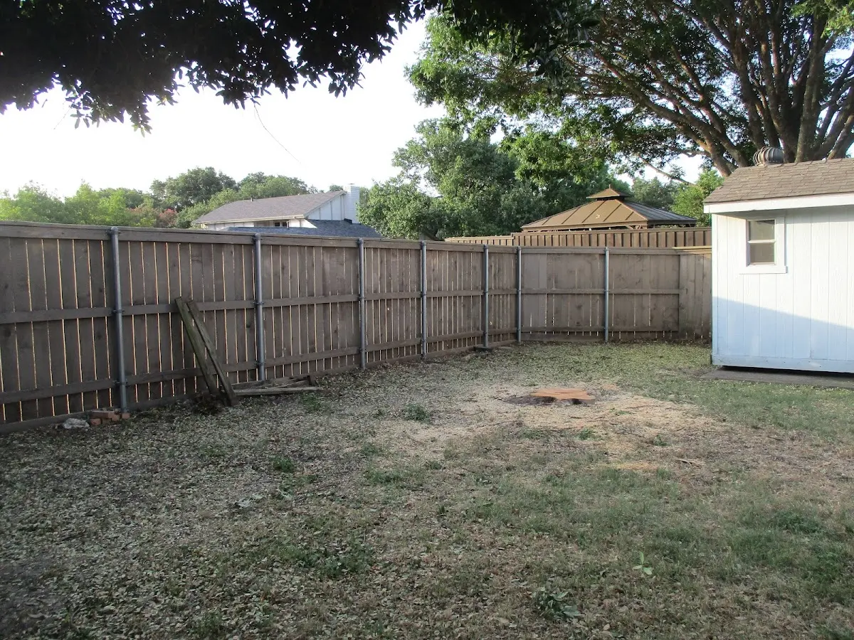 Cleared yard after professional tree removal in Keene